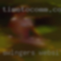 Swingers websites